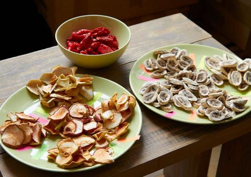 Какие приборы нужны для сушки яблок. Подсчитываем баллы и определяем победителя