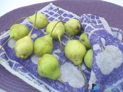 Пошаговый гид по изготовлению сухофруктов из груш 15