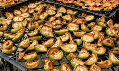 Какие варианты приготовления сухофруктов из груш существуют. Как сушить груши в домашних условиях: 7 способов