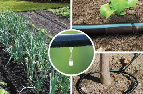Самый простой капельный полив. Как сделать капельный полив своими руками