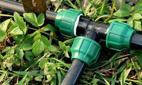 Капельный полив без водопровода. Капельный