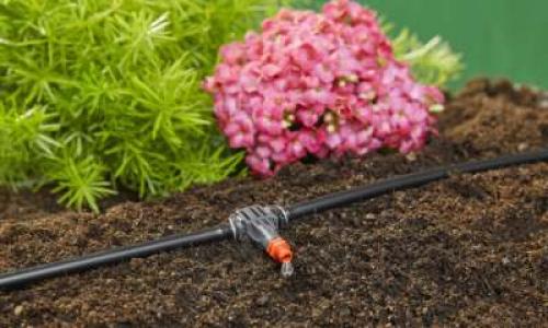 Капельный полив без водопровода. Капельный