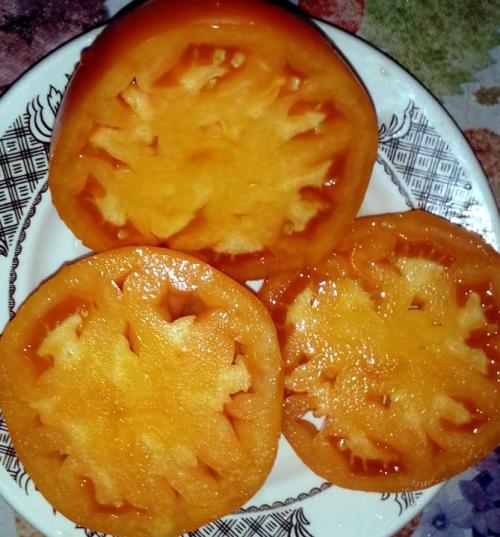 Томаты Хурма описание и характеристика сорта. Сорт томата Хурма – характеристика и описание, отзывы, фото