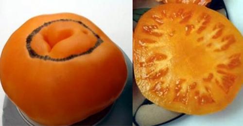 Томаты Хурма описание и характеристика сорта. Сорт томата Хурма – характеристика и описание, отзывы, фото