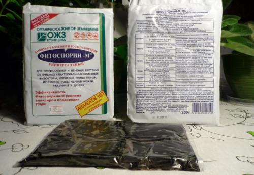 Как правильно укрыть клубнику на зиму. Этапы подготовки к зимовке 20 Как правильно укрыть клубнику на зиму. Этапы подготовки к зимовке 20