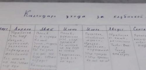 Уход за клубникой в ноябре. Календарь ухода за клубникой с ранней весны и до поздней осени