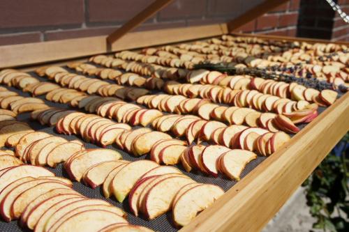 Какие методы Сушки фруктов существуют, и какой из них лучше. Как сушить фрукты в домашних условиях