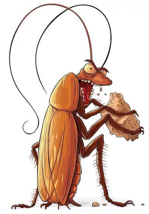 Чем опасны тараканы для человека в квартире. В этой статье мы поговорим о следующем: 04