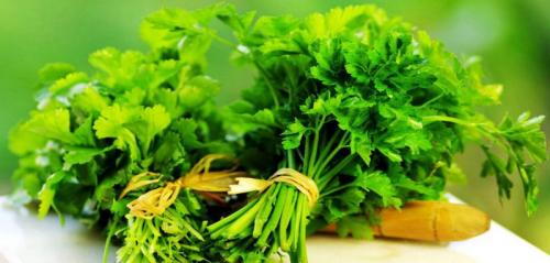 Польза и вред замороженной петрушки. Пять полезных для женщины продуктов 05 Польза и вред замороженной петрушки. Пять полезных для женщины продуктов 05