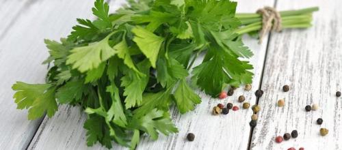 Замороженная петрушка польза. Польза петрушки для организма человека