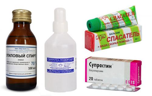 Больно ли кусаются тараканы. Кусаются ли тараканы и как выглядит укус?