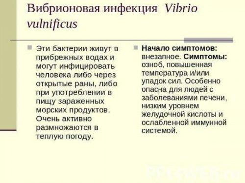 Список продуктов питания для повышения потенции. Основные правила здорового питания для мужчин 04 Список продуктов питания для повышения потенции. Основные правила здорового питания для мужчин 04