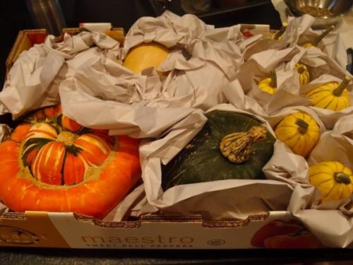 Как сохранить тыкву на зиму в домашних условиях. Как сохранить тыкву в квартире