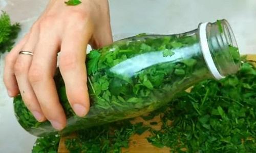 Заготовка петрушки на зиму. Петрушка на зиму — 17 лучших рецептов и способов заготовки