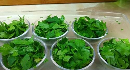 Заготовка петрушки на зиму. Петрушка на зиму — 17 лучших рецептов и способов заготовки