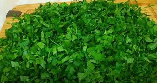 Заготовка петрушки на зиму. Петрушка на зиму — 17 лучших рецептов и способов заготовки