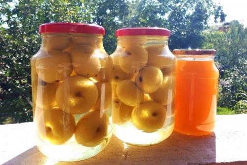 Какие способы консервирования яблок зимой существуют. 20 рецептов яблок на зиму, которые порадуют своим вкусом