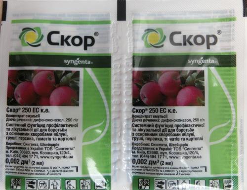 Как избежать появления плесени на яблоках. Обрызгивание специализированными средствами