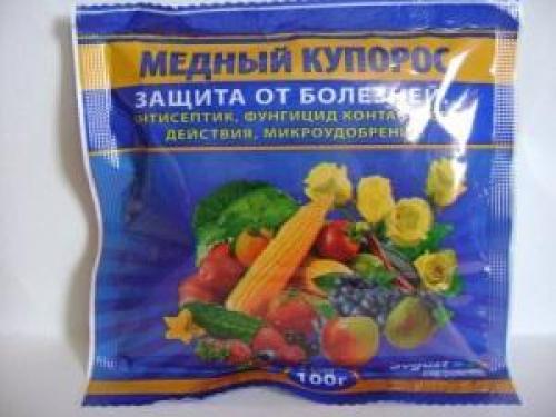 Можно ли хранить тыкву вместе с другими овощами, и какие из них подходят. Требования к помещению