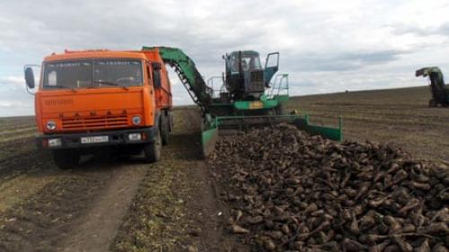 Как новые технологии повышают производительность сахарного производства. Развитие предприятий сахарной промышленности