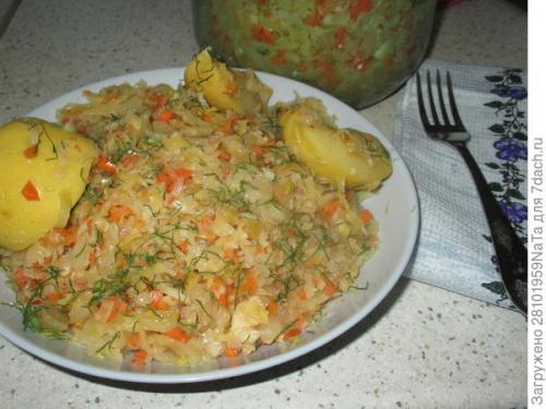 Как долго хранятся квашеные яблоки с капустой. Квашеная капуста с яблоками впрок