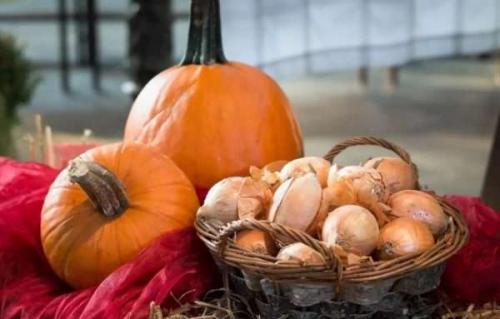 Можно ли хранить тыкву в холодильнике. Как сохранить тыкву в домашних условиях всю зиму