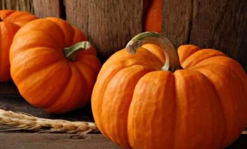 Можно ли хранить тыкву в холодильнике. Как сохранить тыкву в домашних условиях всю зиму