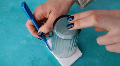 Как размножить черную смородину летом без хлопот: советы опытных садоводов 05