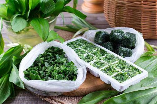 Польза и вред петрушки замороженной. Можно ли замораживать петрушку на зиму в морозилке