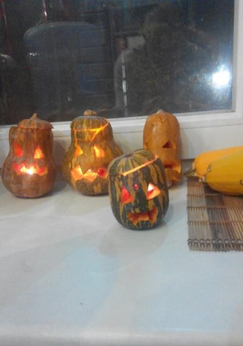 Как сохранить тыкву и кабачки зимой дома: простые и эффективные способы 02 Как сохранить тыкву и кабачки зимой дома: простые и эффективные способы 02