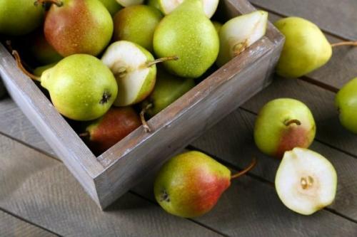 Как правильно подготовить груши к запасам на зиму. Где лучше хранить собранный урожай груш для хранения на зиму