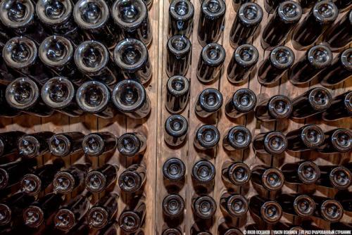 В чем отличие вкуса вина из винограда Изабелла от других видов. Почему виноград Изабелла, из которого делают Лыхны запрещён в большинстве стран