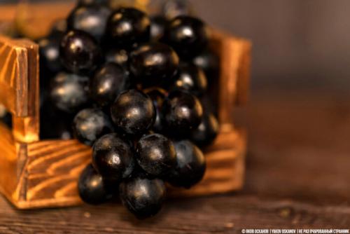 В чем отличие вкуса вина из винограда Изабелла от других видов. Почему виноград Изабелла, из которого делают Лыхны запрещён в большинстве стран