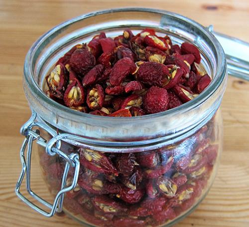 Как хранить высушенный шиповник после приготовления. Как сохранить шиповник на зиму
