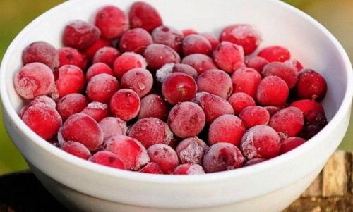 Как хранить высушенный шиповник после приготовления. Как сохранить шиповник на зиму