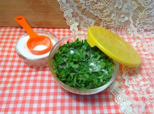 Что можно сделать из петрушки на зиму. Петрушка на зиму заготовки. Рецепты с солью, морковью, томатной пастой, чесноком, маслом. Как сушить, заморозить