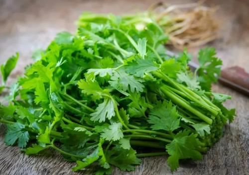 Как заморозить петрушку на зиму. Все этапы: как подготовить зелень для закладки в морозилку? 02