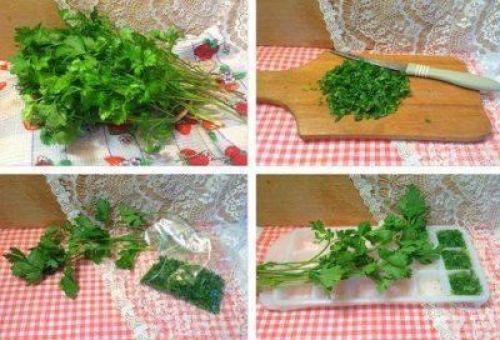 Как заморозить петрушку на зиму. Все этапы: как подготовить зелень для закладки в морозилку? 01