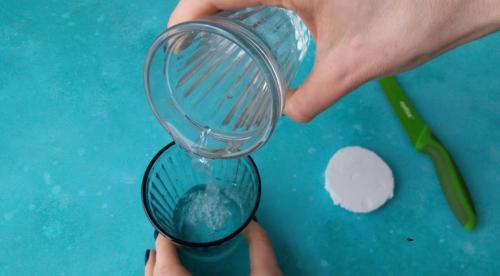 Посадка черенков черной смородины. Размножение смородины одревесневшими черенками 07