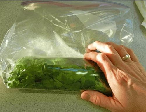 Что можно сделать из петрушки на зиму. Петрушка на зиму заготовки. Рецепты с солью, морковью, томатной пастой, чесноком, маслом. Как сушить, заморозить