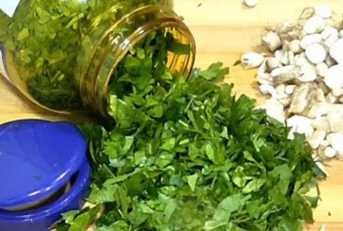 Как заморозить петрушку на зиму. Все этапы: как подготовить зелень для закладки в морозилку? 04