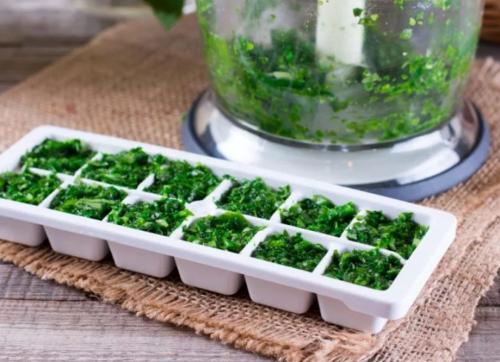 Как заморозить петрушку на зиму. Все этапы: как подготовить зелень для закладки в морозилку? 03