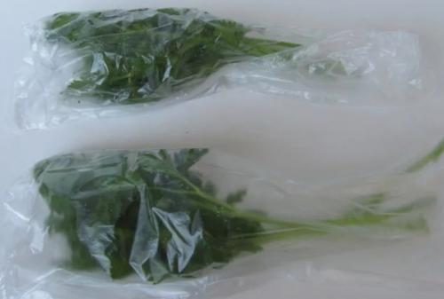 Как заморозить петрушку на зиму. Все этапы: как подготовить зелень для закладки в морозилку? 06