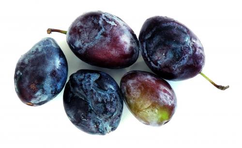 Удобрение для груши осенью чем подкормить в зиму. Сроки и правила внесения для груши подкормки осенью 04 Удобрение для груши осенью чем подкормить в зиму. Сроки и правила внесения для груши подкормки осенью 04