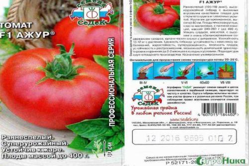 Какая урожайность можно ожидать от семян СеДек Томат Ажур f1. Описание сорта томата Ажур, его характеристика и урожайность