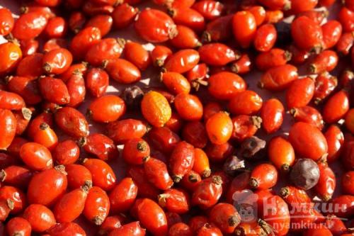 Как сушить плоды шиповника: пошаговая инструкция 03 Как сушить плоды шиповника: пошаговая инструкция 03