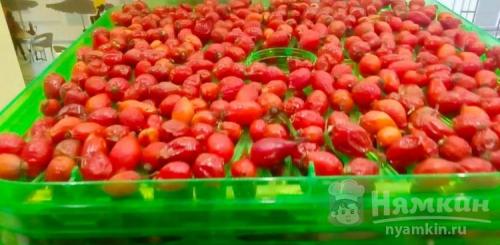 Как сушить шиповник в домашних условиях правильно: простая инструкция 03