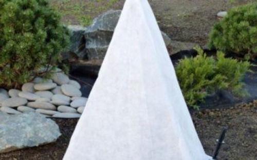 Чем обернуть деревья на зиму. Чем укрывать плодовые деревья