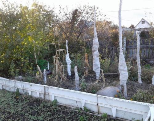 Чем обмотать яблони на зиму. Материалы для укрытия