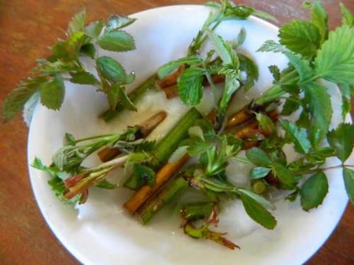 Размножение малины в стаканчиках. Размножение малины: 125 фото и видео описание, как правильно размножить малину своими руками